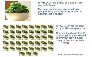 UCLA Study